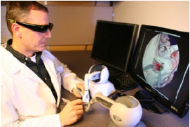 simulation pic