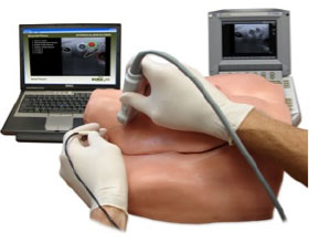 simulation pic